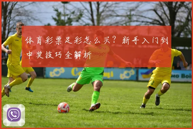 体育彩票足彩怎么买?新手入门到中奖技巧全解析