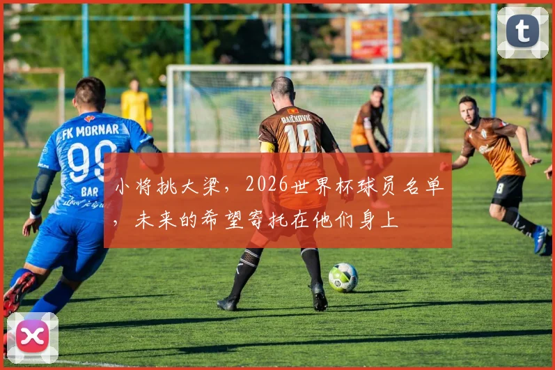 小将挑大梁，2026世界杯球员名单，未来的希望寄托在他们身上