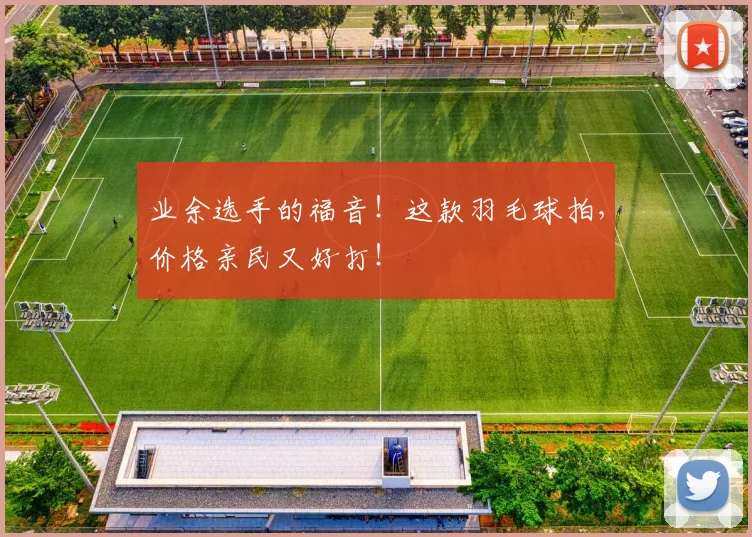 业余选手的福音！这款羽毛球拍，价格亲民又好打！