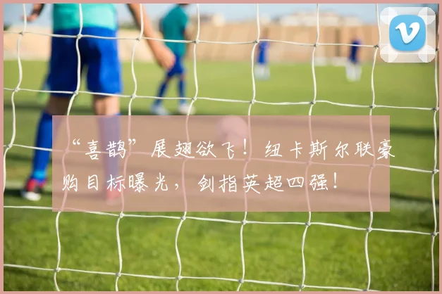 “喜鹊”展翅欲飞！纽卡斯尔联豪购目标曝光，剑指英超四强！
